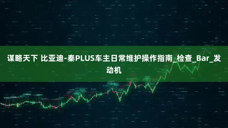 谋略天下 比亚迪-秦PLUS车主日常维护操作指南_检查_Bar_发动机