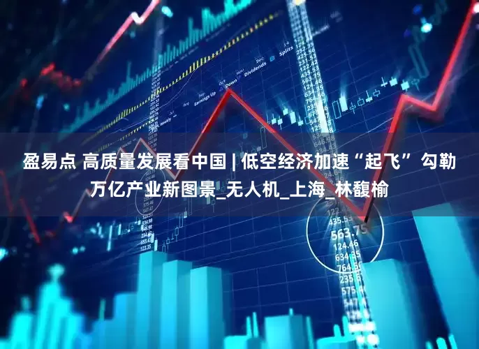 盈易点 高质量发展看中国 | 低空经济加速“起飞” 勾勒万亿产业新图景_无人机_上海_林馥榆