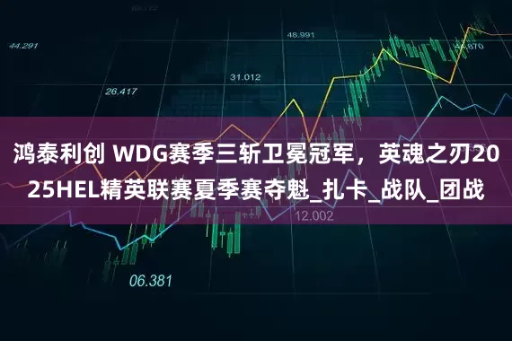 鸿泰利创 WDG赛季三斩卫冕冠军，英魂之刃2025HEL精英联赛夏季赛夺魁_扎卡_战队_团战