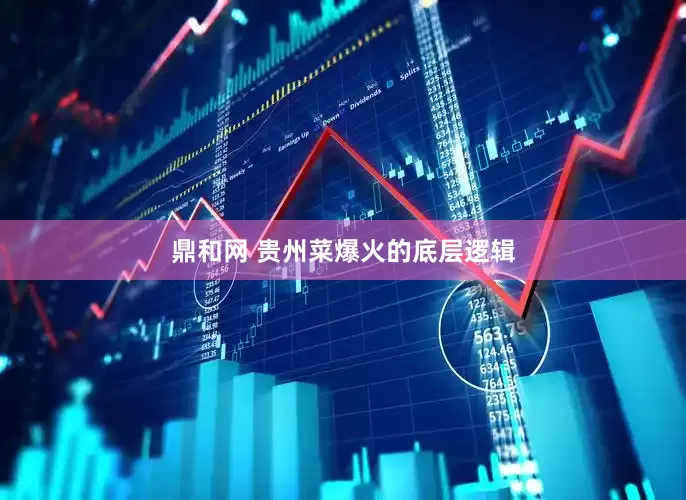 鼎和网 贵州菜爆火的底层逻辑
