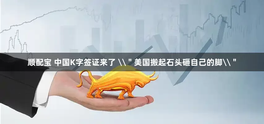 顺配宝 中国K字签证来了 \＂美国搬起石头砸自己的脚\＂